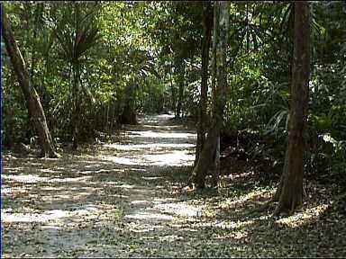 Lonely, eerie, dangerous path to Temple VI