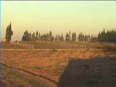 Evening countryside from the bus