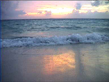 Dream Beach on Velidhu