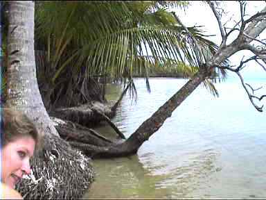 Secluded Cayo del Drago