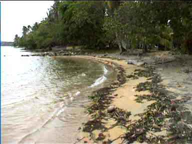 Cayo del Drago beach