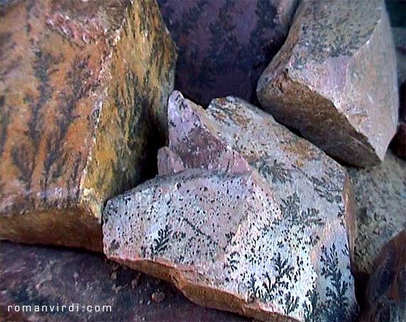 Dendrite rocks for sale around Mt. Moses