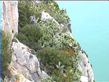 Cabo de San Antonio cliffs fall down vertically into the sea