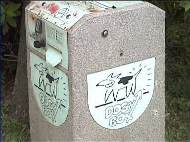 Doggy box in San Gimignano