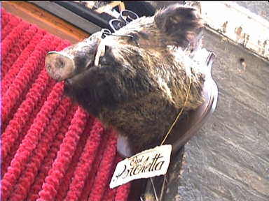 This guy had delicious Salami - butcher in Siena 