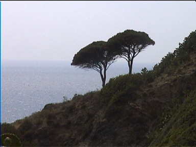 The steep hills leading to the sea