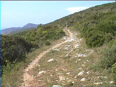 Viewpoint in the hills