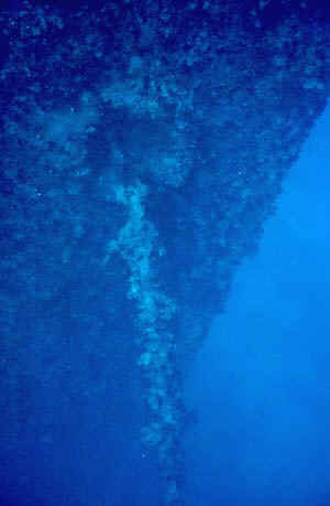 The Thistlegorm was anchored for the night when she was discovered and sunk by a German bomber during WWII. The anchor seems to be in the same position as it was then during that fateful night