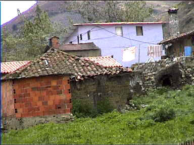 Village scene