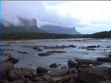 marvelous Tepuis in the morning mist