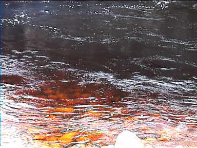 Reddish water here too