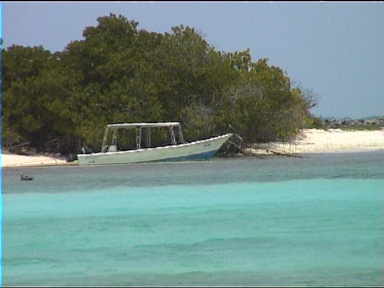 Blue water on Francisqui