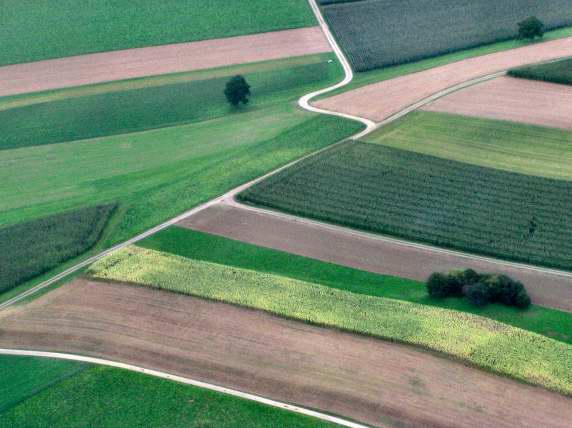 Tidy fields near Kloten, Zurich