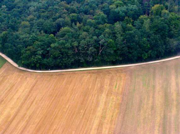 Woods near Zurich Airport